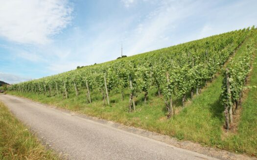 Baugrundstück in Knittlingen mit Weitblick!