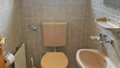 Gäste-WC EG