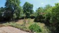 Blick in den Garten