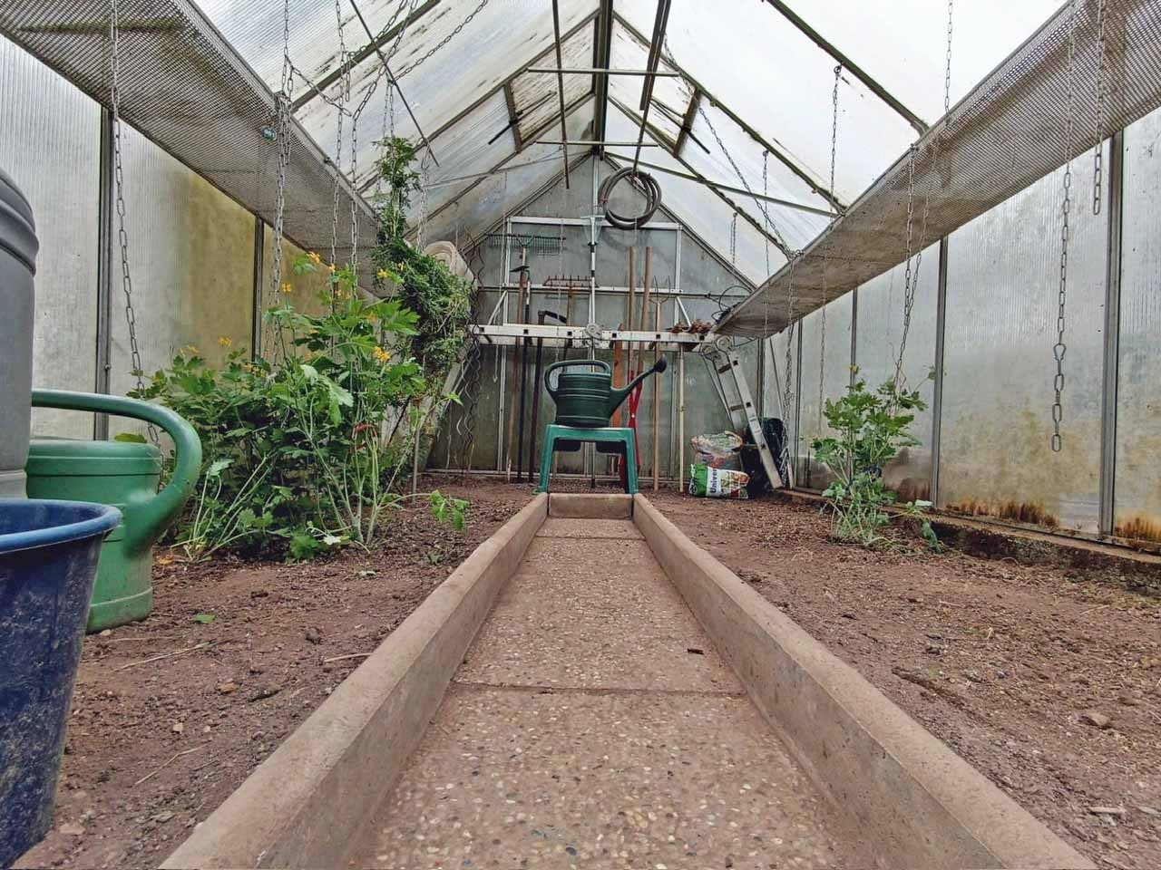 Blick ins Gewächshaus