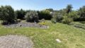 Blick in den Garten