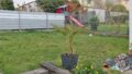 Blick in den Garten