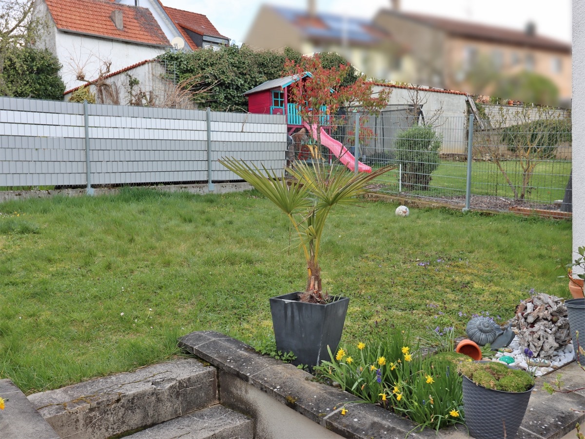 Blick in den Garten