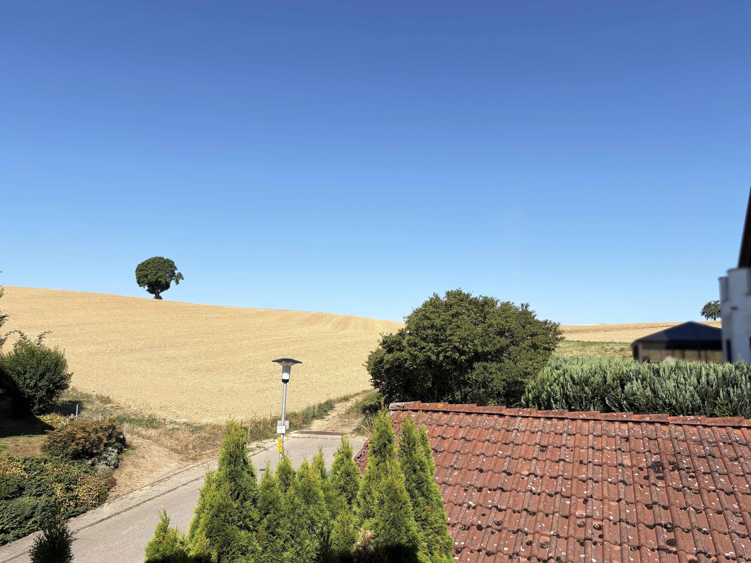 Ausblick Küche
